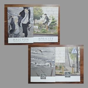 Grey is Indie Manga Art Book Collection Halcyon and Apricity by Deejuusan